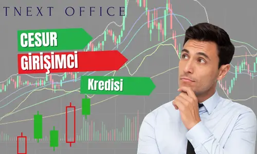 Cesur Girişimci Kredisi